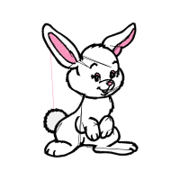 Domestic Rabbit Animals