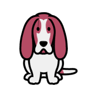 Domestic Rabbit Animals