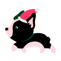 Dorgi Animals Dorgi Animals