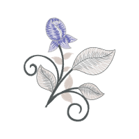 Dossinia Animals Dossinia Animals