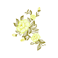 Drawing Animals Drawing Animals