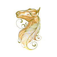 Drawing Animals Drawing Animals