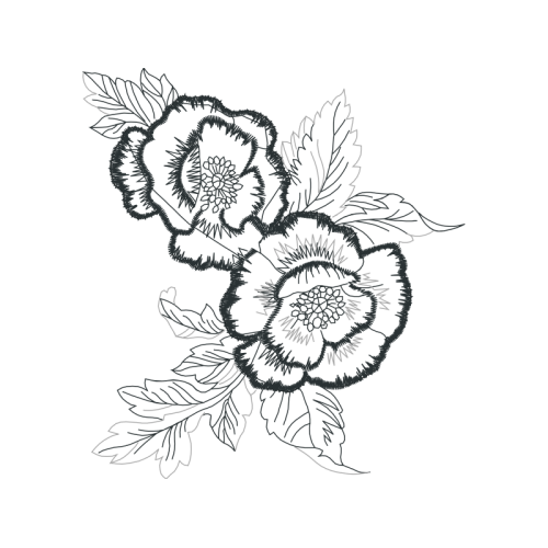 Drawing Animals Drawing Animals