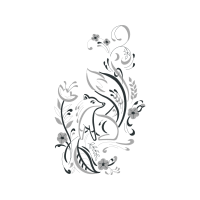 Drawing Animals Drawing Animals