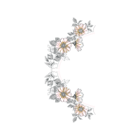 Drawing Animals Drawing Animals