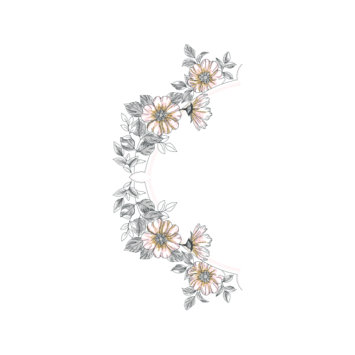 Drawing Animals Drawing Animals