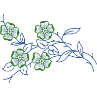 Drawing Animals Drawing Animals