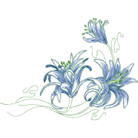 Drawing Animals Drawing Animals