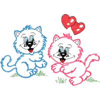 Drawing Animals Drawing Animals