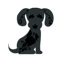 Drawing Animals Drawing Animals