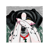 Drawing Animals Drawing Animals