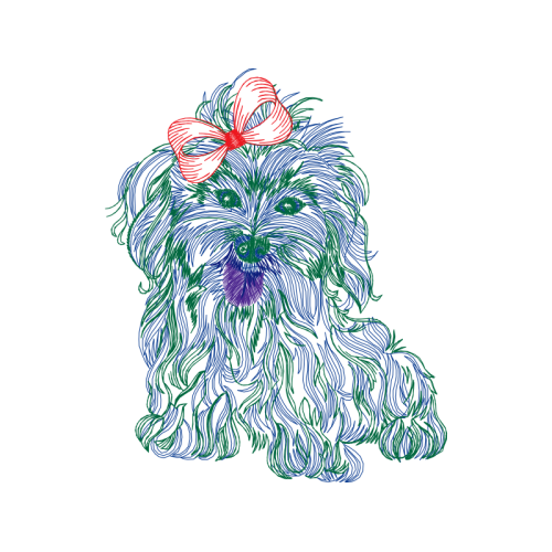 Drawing Animals Drawing Animals