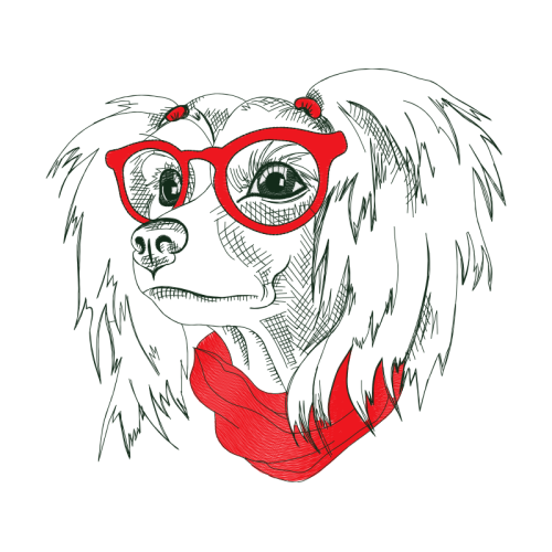 Drawing Animals Drawing Animals