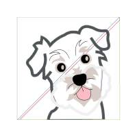 Drawing Animals Drawing Animals