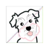 Drawing Animals Drawing Animals