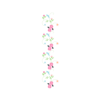 Drawing Animals Drawing Animals