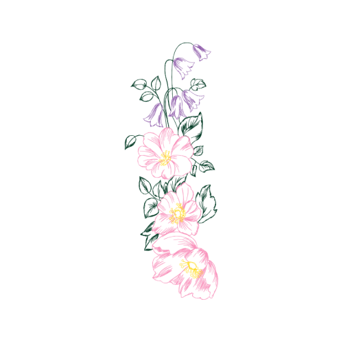 Drawing Animals Drawing Animals