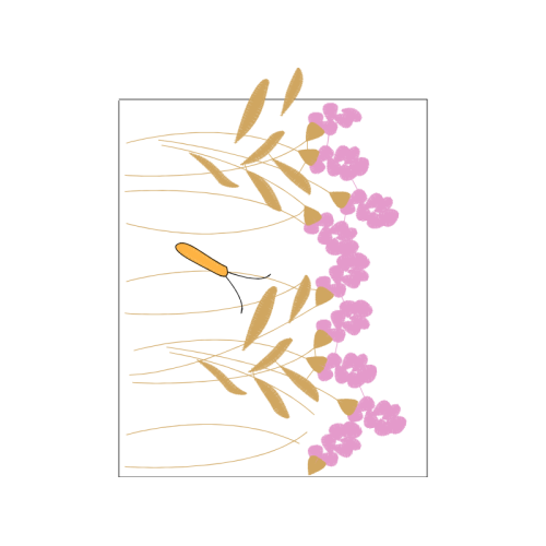 Drawing Animals Drawing Animals