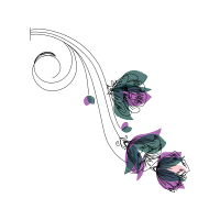 Drawing Animals Drawing Animals