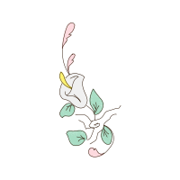 Drawing Animals Drawing Animals