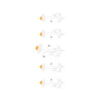 Drawing Animals Drawing Animals