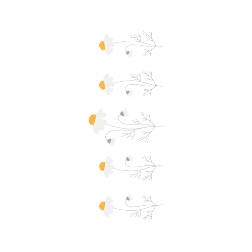 Drawing Animals Drawing Animals