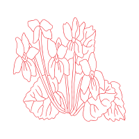 Drawing Animals Drawing Animals