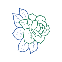 Drawing Animals Drawing Animals