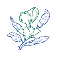 Drawing Animals Drawing Animals