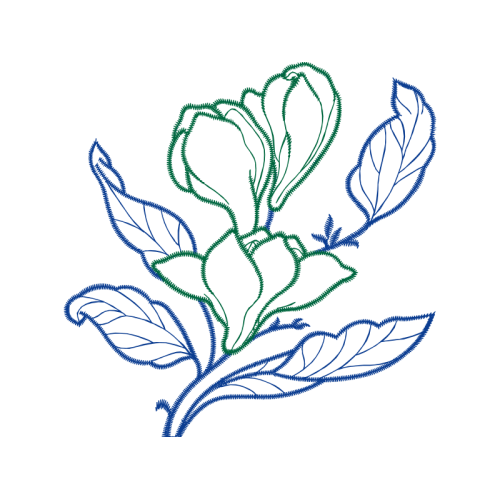 Drawing Animals Drawing Animals