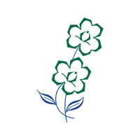 Drawing Animals Drawing Animals