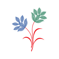 Drawing Animals Drawing Animals