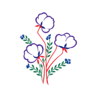 Drawing Animals Drawing Animals