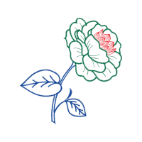 Drawing Animals Drawing Animals