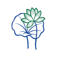 Drawing Animals Drawing Animals