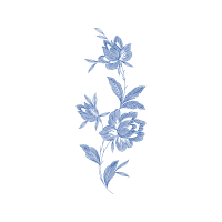 Drawing Animals Drawing Animals