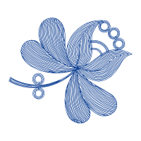 Drawing Animals Drawing Animals