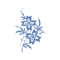 Drawing Animals Drawing Animals