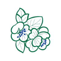 Drawing Animals Drawing Animals