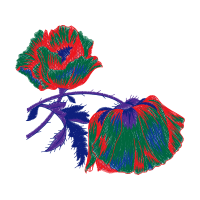 Drawing Animals Drawing Animals