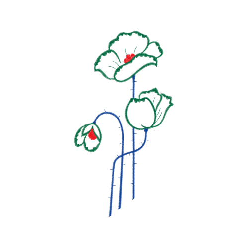 Drawing Animals Drawing Animals