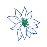 Drawing Animals Drawing Animals