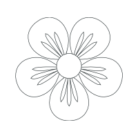 Drawing Animals Drawing Animals