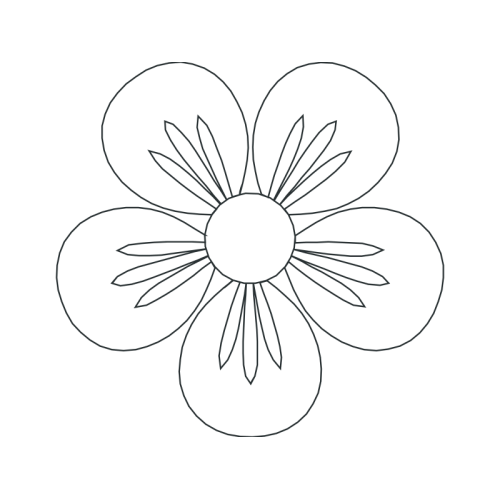 Drawing Animals Drawing Animals