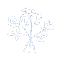 Drawing Animals Drawing Animals