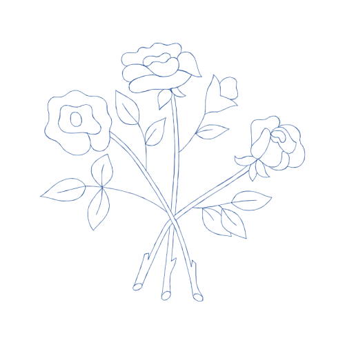 Drawing Animals Drawing Animals