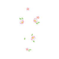 Drawing Animals Drawing Animals