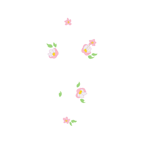 Drawing Animals Drawing Animals