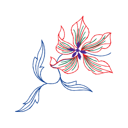 Drawing Animals Drawing Animals