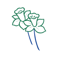 Drawing Animals Drawing Animals